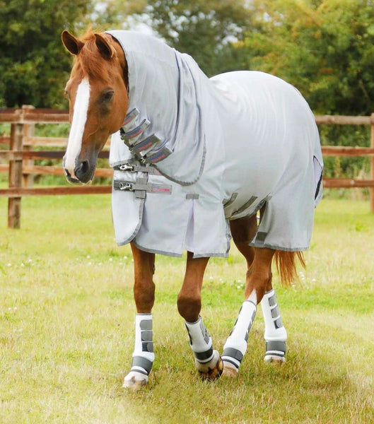Combo Bug Buster Fly Rug with Belly Flap Silver - Premier Equine