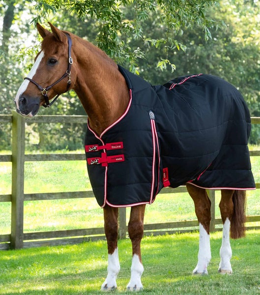 Copy of Lucanta Demi Stable 100g - Premier Equine