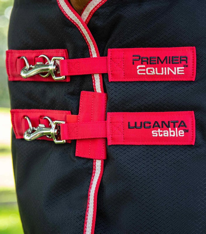 Copy of Lucanta Demi Stable 100g - Premier Equine